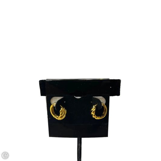 Earrings Hoop