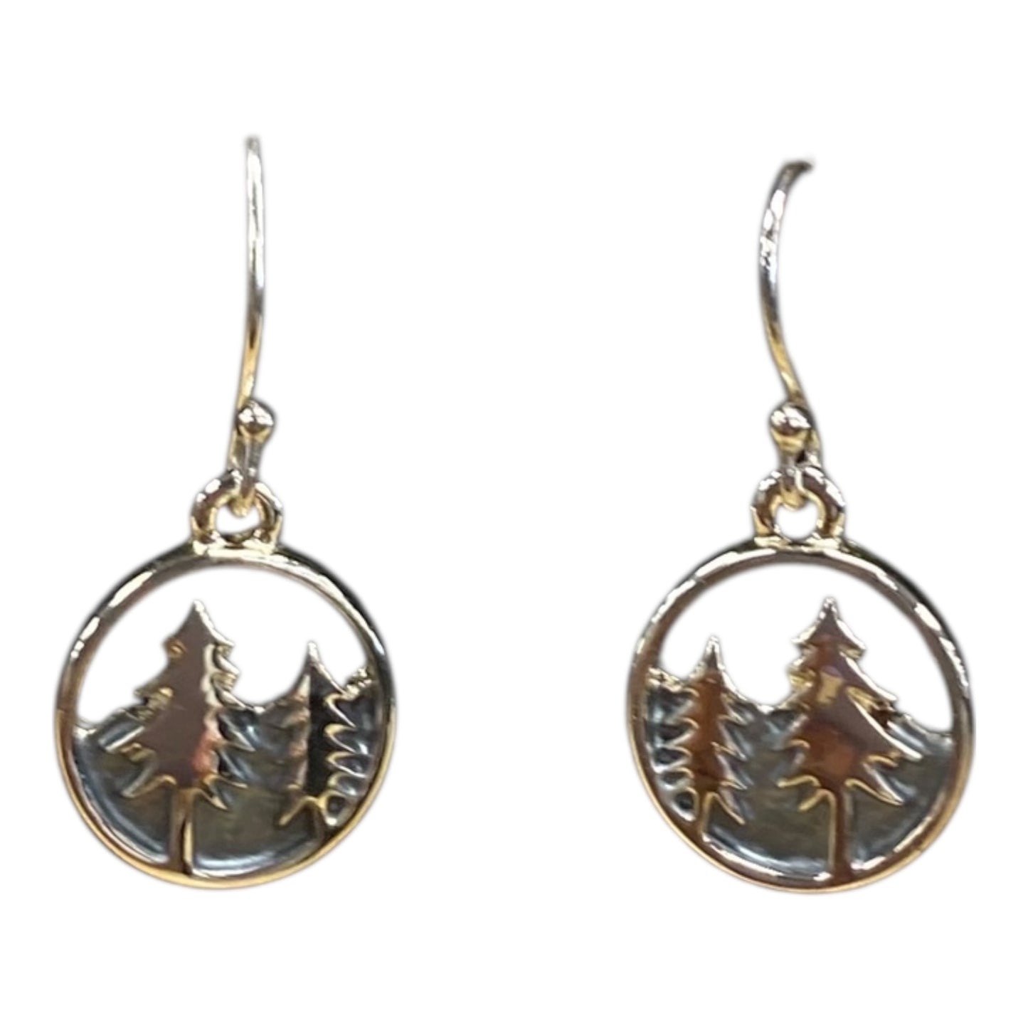 Earrings Dangle/Drop  In Silver