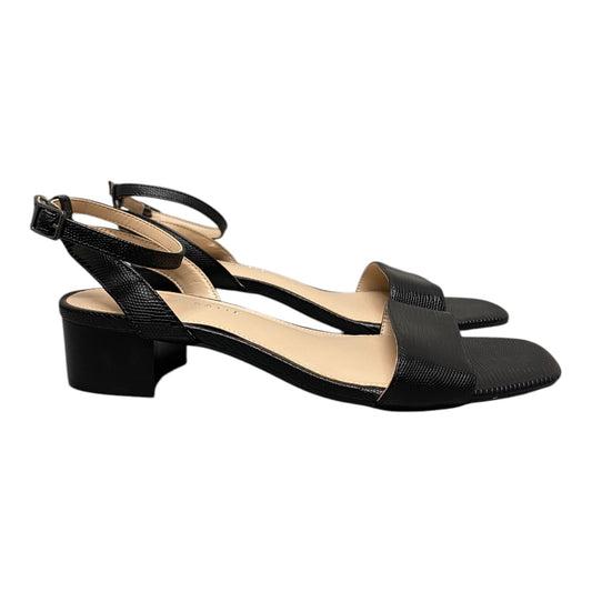 Shoes Heels Block By Kelly And Katie In Black, Size:9