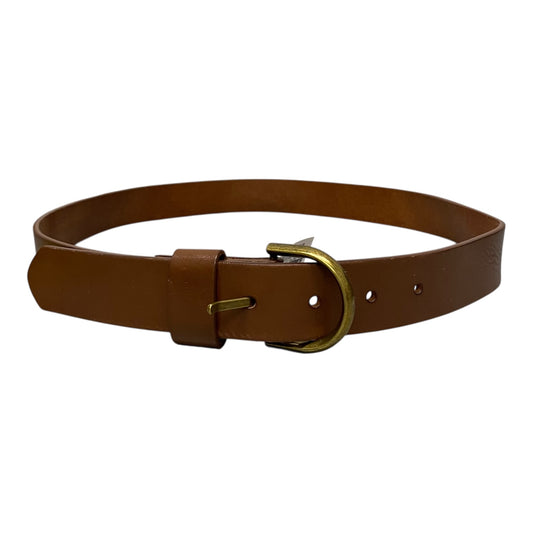 Belt In Brown