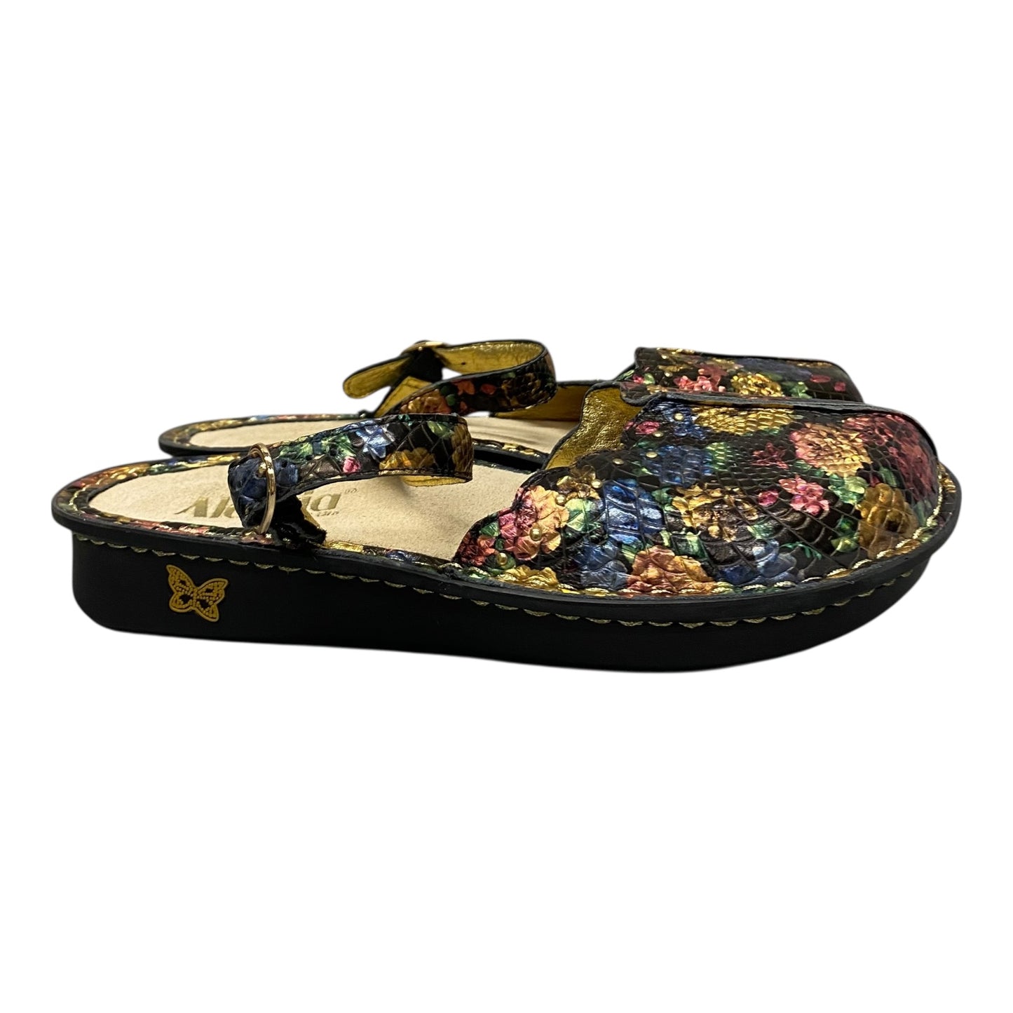 Shoes Flats By Alegria In Black, Size:9.5