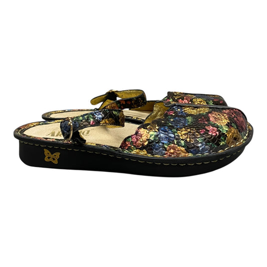 Shoes Flats By Alegria In Black, Size:9.5