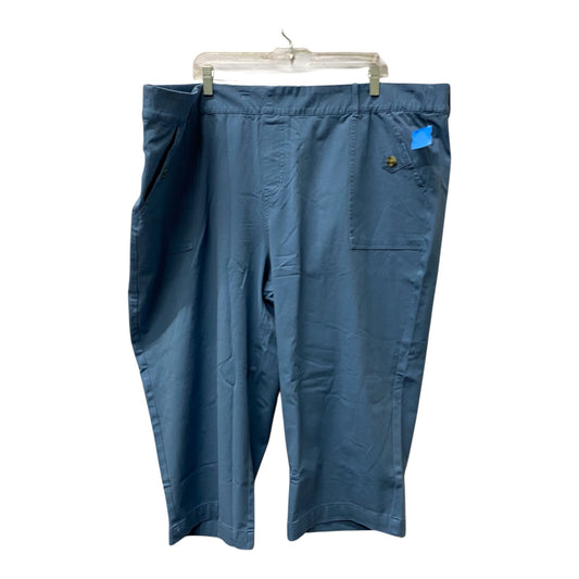 Pants Cropped By Any Body In Blue, Size:22