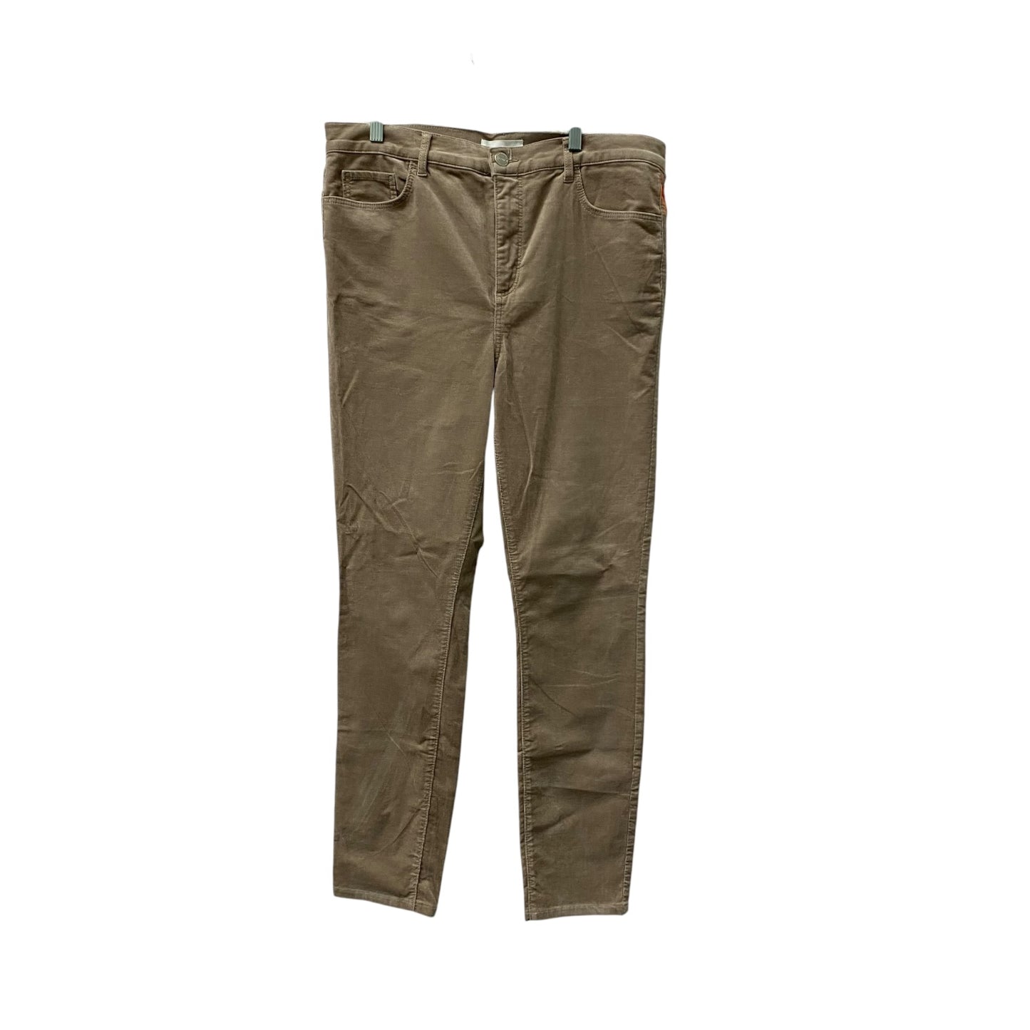 Jeans Straight By Loft In Tan, Size:12