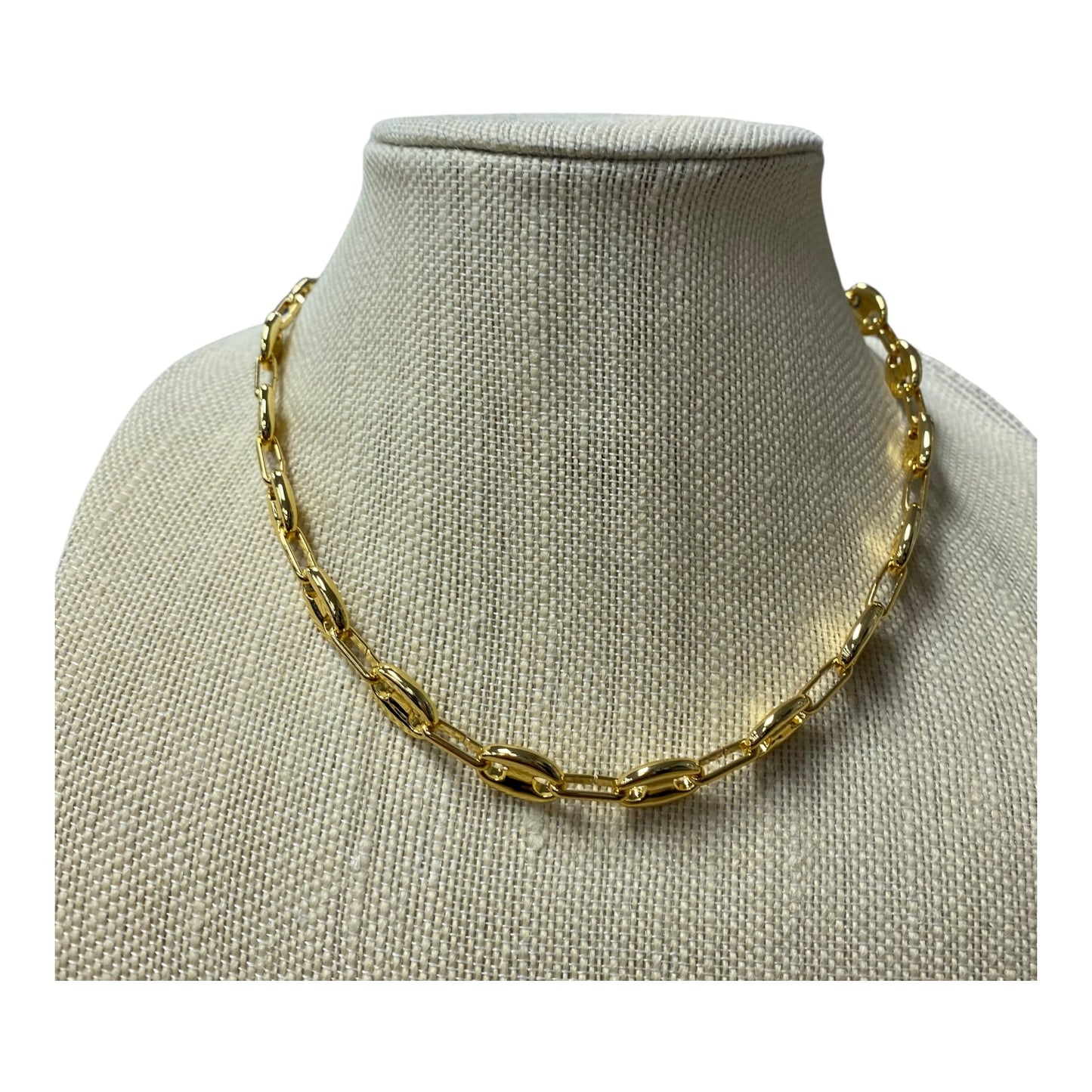 Necklace Chain By Ann Taylor In Gold