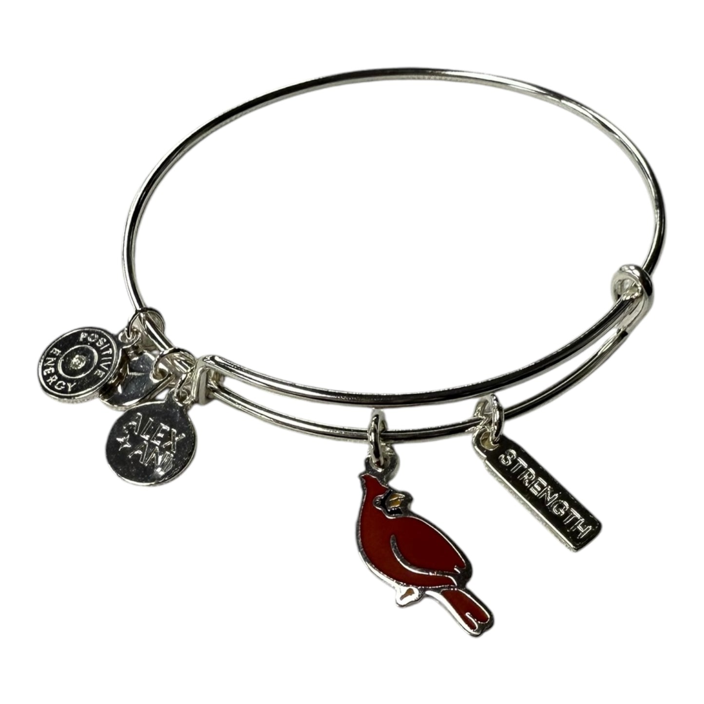 Bracelet Charm By Alex And Ani In Silver