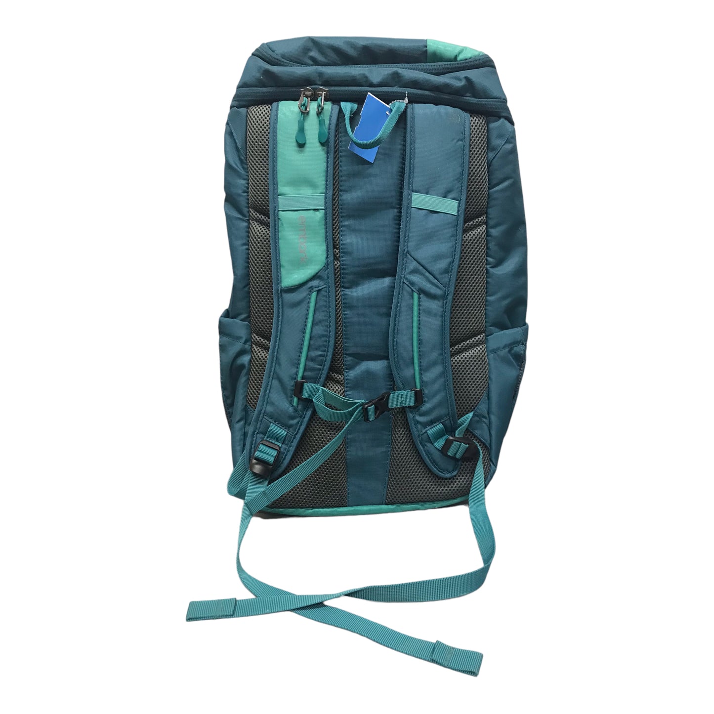 Backpack By AI Size: Large